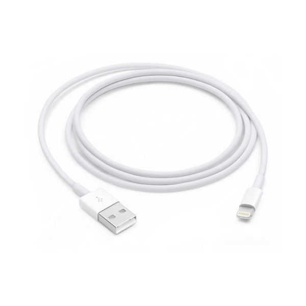 Picture of Lightning to USB Cable (1 m)