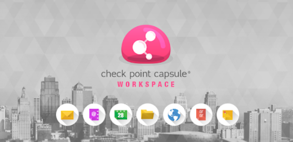 Picture of Capsule Workspace & Docs