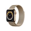 תמונה של Apple Watch Series 6 GPS + Cellular, 40mm Gold Stainless Steel Case with Gold Milanese Loop