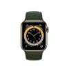 תמונה של Apple Watch Series 6 GPS + Cellular, 44mm Gold Stainless Steel Case with Cyprus Green Sport Band - Regular