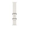 Picture of Apple Watch 49mm Ocean Band