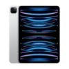 Picture of 11inch iPad Pro Wi-Fi 256GB (4th Gen)